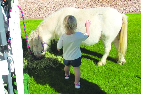 Petting Zoo - Our animals will provide an unforgettable experience for children and adults alike! Petting zoo by Peppy Party.