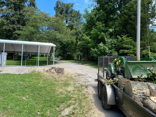 Tree removal - This tree removal was quick and affordable. Everything was cleaned up in a day. The 40 foot tree was inches from the carport and close to the house and power lines. With a lift truck and proper roping techniques, this tree removal was no problem! Tree removal - This tree removal was quick and affordable. Everything was cleaned up in a day. The 40 foot tree was inches from the carport and close to the house and power lines. With a lift truck and proper roping techniques, this tree removal was no problem!