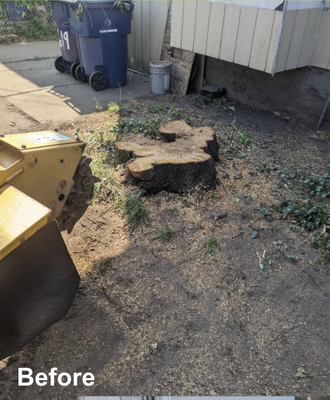 Stump Grinding & Removal - Outdoors Unlimited LLC we will remove
stumps that end up attracting pests, and
that are unappealing to look at. Whether
the stump is near a structure or in a tight
spot, we will safely and professionally
remove any stump. Call Outdoors Unlimited
LLC to have us safely remove stumps so
that your property will continue to look
beautiful and enjoyable for years to come. Stump Grinding & Removal - Outdoors Unlimited LLC we will remove
stumps that end up attracting pests, and
that are unappealing to look at. Whether
the stump is near a structure or in a tight
spot, we will safely and professionally
remove any stump. Call Outdoors Unlimited
LLC to have us safely remove stumps so
that your property will continue to look
beautiful and enjoyable for years to come.