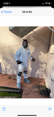 Bee Removal - Bee Removal Bee Removal - Bee Removal