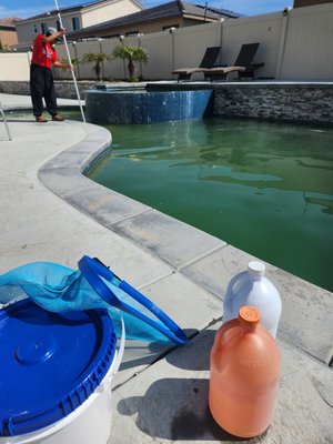 Green 2 Clean - This clients pool was in need of some help.  Walnut Pool Service Pros was on the job the next morning. our algae treatment (green to clean) service had this beautiful pool back to blue in 3 days.  contact us today for a quote
