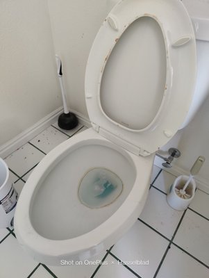 Toilet cleaning - We remove hard water stains and rings in the toilet bowl. Toilet cleaning - We remove hard water stains and rings in the toilet bowl.