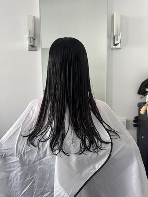 Women’s Haircut - Women’s haircut with soft layers. Trimmed the length and refreshed the overall shape for a healthy, natural look. Women’s Haircut - Women’s haircut with soft layers. Trimmed the length and refreshed the overall shape for a healthy, natural look.