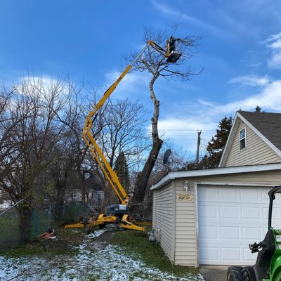 Tree Removal Before/After - Are you in need of reliable and affordable tree care services? Look no further than Liberty Tree Service! We're a team of dedicated professionals committed to providing the highest quality tree care services to residential and commercial clients.

With years of experience in the industry, we have the expertise and knowledge to handle any tree-related issue, from pruning and trimming to stump grinding and removal. Our team uses only the latest techniques and equipment to ensure that every job is done right the first time.

At Liberty Tree Service, we understand that each client's needs are unique, which is why we offer customized services tailored to your specific needs. We're fully licensed and insured, and we take safety and customer satisfaction very seriously. You can trust us to deliver exceptional results, every time.

Don't let tree-related issues cause you stress and inconvenience. Contact us today to schedule your tree care service and experience the difference that Liberty Tree Service can make!