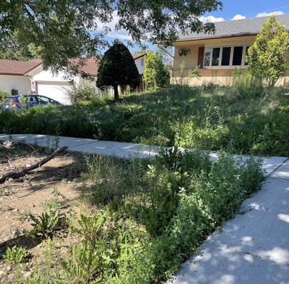 Lawn Makeover - Sometimes life gets away from us and we just need help. We’re here to help you get your lawn back in shape!