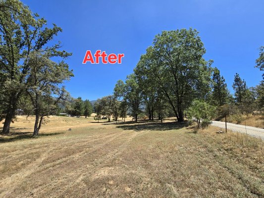 Defensible Space - a customer had storm damage trees that had fallen and posed a fire hazard on his yard in the mountainous area of Mariposa. cruise quickly got in and perform defensible space treatment around the property. making his home more fire resilient while meeting Cal Fire and insurance standard. Defensible Space - a customer had storm damage trees that had fallen and posed a fire hazard on his yard in the mountainous area of Mariposa. cruise quickly got in and perform defensible space treatment around the property. making his home more fire resilient while meeting Cal Fire and insurance standard.
