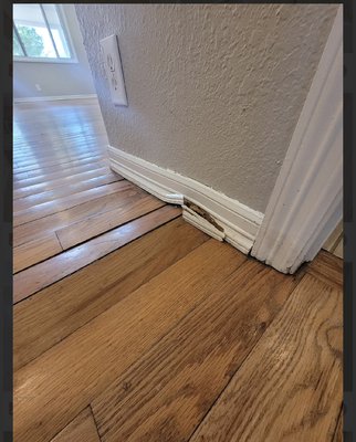 Kitchen floor patch - This area was water damaged. I had to replace the plywood underneath and feather out and patch another area. Floor & Decor applied all the Oakwood plank flooring. Four patches turned out absolutely perfect.