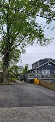 cutting branches over 2 houses - cutting branches over 2 houses cutting branches over 2 houses - cutting branches over 2 houses