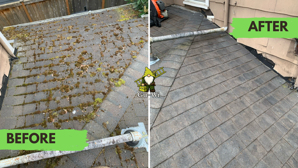 Roof Cleaning & Moss Removal - Gu-Wi does great work on the roof. He's not afraid of heights or of getting dirty. We provide before/after pics of every job we do. Here are a few of our favorites. Roof Cleaning & Moss Removal - Gu-Wi does great work on the roof. He's not afraid of heights or of getting dirty. We provide before/after pics of every job we do. Here are a few of our favorites.