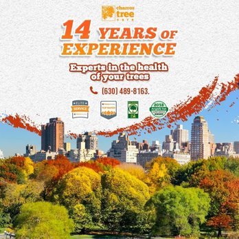 Certified Arborists! - At Charros Tree Service, we have more than 15 years of experience in tending to trees in the Western Suburbs and throughout Chicagoland. We’re a 2nd generation family business, who’s really passionate about what we do. We know the difference high-quality tree trimming and pruning can make for your property and we know how to get you the best results at affordable prices.