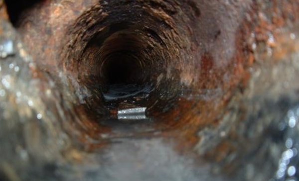 Sewer Scope - The main sewer line is a high-ticket item.  Sewer lines should be scoped every 10 years or every 5 if. There are large trees between the property and the city street.