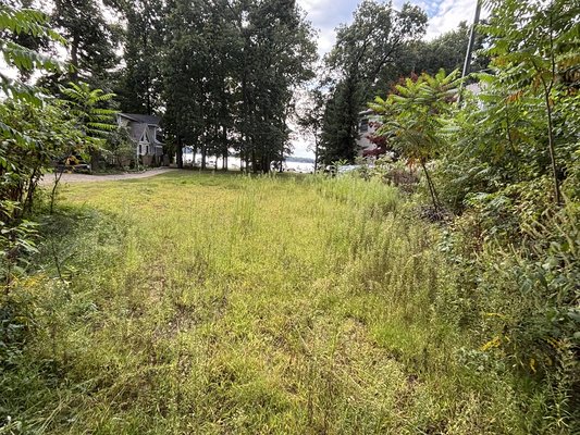 Overgrown Lawn to Clean Cut - Is your lawn overgrown? Contact us and let us help you turn your wild into wonderful! Overgrown Lawn to Clean Cut - Is your lawn overgrown? Contact us and let us help you turn your wild into wonderful!