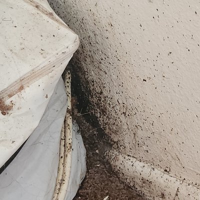 Biohazard Removal Residencial UVC Disinfecting - This was the worst case of bedbug infestation ever seen . The bedbugs came in the millions .