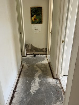 Flood damage. Light demolition job - This home was damaged by a flood. Everything was removed from flooring to drywall. All done in one day.