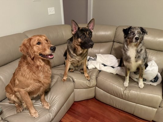 My 3 Boys. - Just pictures of my boys that I love so much.