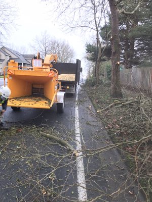 Haul away and Trenching - Are you dealing with dangerous, diseased, or unwanted trees on your property? Our expert team is here to provide safe, efficient, and affordable tree removal services!