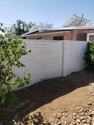 Palm Removal - This palm tree removal was growing on the side of a wall and we were able to safely remove it. Palm Removal - This palm tree removal was growing on the side of a wall and we were able to safely remove it.