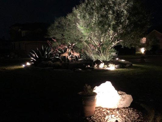 Lanscape Lighting Project - In Cedar Park area, Customer wanted to highlight the Deer peices that her son had sculpted as well other areas of the house including the backyard Lanscape Lighting Project - In Cedar Park area, Customer wanted to highlight the Deer peices that her son had sculpted as well other areas of the house including the backyard