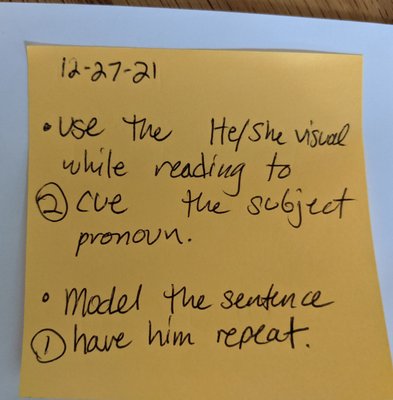 Treatment of speech and language - I will come to your home and provide a 45 minute treatment session that typically involves facilitating language strategies through play-based therapy with your child, skilled practice of speech sounds, reading, parent training and education. I will address your concerns/questions during this time. I provide a home program on a "sticky note" which is usually a few simple instructions of how you may continue to use the skills from the day's treatment session to help your child during the week.