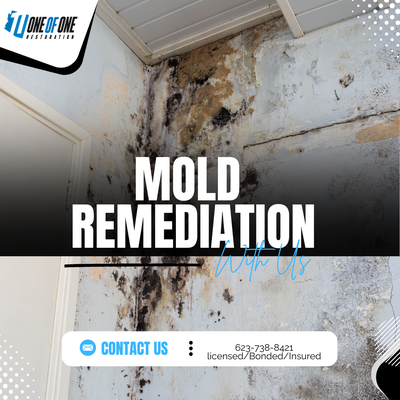 Mold removal - Your Mold Emergency – Handled with Precision and Speed

At One of One Restoration, we specialize in fast, reliable mold remediation. As IICRC-certified professionals with over 5 years of experience, we're equipped to handle any mold emergency with confidence and care.

In a recent project, mold was discovered beneath a bathtub, spreading into an adjacent room and carpeting. We arrived on-site within 35 minutes and completed the entire scope of work in just one day. Best of all, the homeowner paid nothing out of pocket—our team managed all the insurance paperwork to ensure a smooth, stress-free process.

When mold strikes, we’ve got you covered—quickly, thoroughly, and professionally.