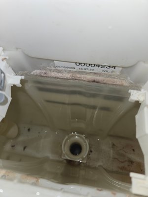 Grohe in wall cistern. - We replaced the flush valve and supply line(which is a special order part)f9r the Grohe in wall toilet. Grohe in wall cistern. - We replaced the flush valve and supply line(which is a special order part)f9r the Grohe in wall toilet.