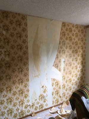 Wallpaper Removal - Wallpaper Removal Wallpaper Removal - Wallpaper Removal