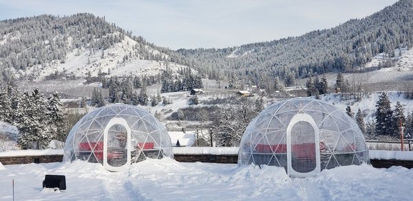 Wine Tasting - Make Leavenworth Christmas town even more memorable—sip wine, stay warm, and settle into one of our private outdoor igloos.
For Reservations Silvarawine.com / Walk Ins welcome Wine Tasting - Make Leavenworth Christmas town even more memorable—sip wine, stay warm, and settle into one of our private outdoor igloos.
For Reservations Silvarawine.com / Walk Ins welcome