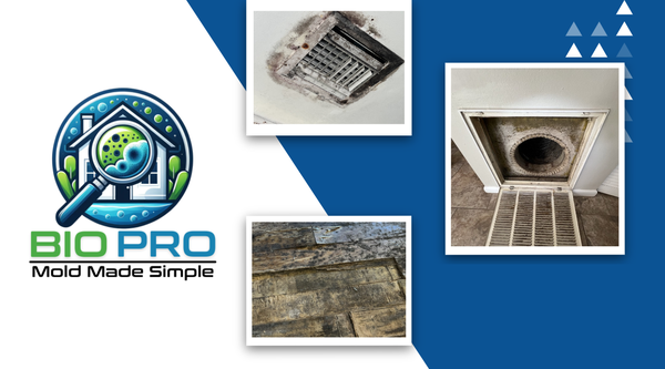 Bio Pro: Mold Made Simple - Since 2019, we've helped thousands of customers become mold-free. We provide independent, un-biased Mold Assessments and Remediation Plans. Bio Pro: Mold Made Simple - Since 2019, we've helped thousands of customers become mold-free. We provide independent, un-biased Mold Assessments and Remediation Plans.