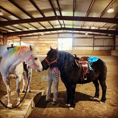 Horse Party - Let us decorate your party for you! Horse Party - Let us decorate your party for you!