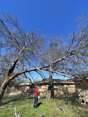 March 3, 2023 - Client called for emergency services after storm made trees fall over the house and electric cabling and one tree that lifted out of the ground.