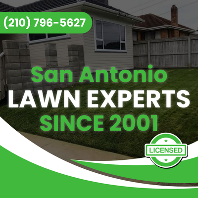 Lawn Mowing & Trimming in San Antonio, TX - We've been San Antonio's #1 choice for lawn care needs since 2001! Lawn Mowing & Trimming in San Antonio, TX - We've been San Antonio's #1 choice for lawn care needs since 2001!