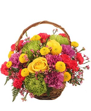 Birthday - Not sure how to celebrate another fun-filled birthday? Allow us to design a fresh flower arrangement for the one who deserves it the most! It’s an intimate gift like no other, and they’ll love having a bouquet of flowers to bring their home to life. Give them something that will make their birthday special for more than just one day!