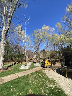 Andover project - Interesting project working through a nice yard Andover project - Interesting project working through a nice yard