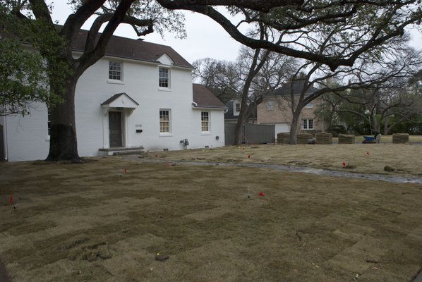 Sod and Irrigation Installation - This yard was a disaster and the new homeowner knew she could add tremendous value with a yard redo. It started as a xeric landscape with mismanaged plants and a bunch of gravel. We removed the old plants and many yards of gravel. Then we installed a new irrigation system and installed Zorro Zoysia. Our sod installations include excellent soil for the long term health of the turf. We really enjoyed this project because the customer understood the importance of a quality installation (for the irrigation and sod). Also, the customer was really great to work with. We love good people and fun projects. Sod and Irrigation Installation - This yard was a disaster and the new homeowner knew she could add tremendous value with a yard redo. It started as a xeric landscape with mismanaged plants and a bunch of gravel. We removed the old plants and many yards of gravel. Then we installed a new irrigation system and installed Zorro Zoysia. Our sod installations include excellent soil for the long term health of the turf. We really enjoyed this project because the customer understood the importance of a quality installation (for the irrigation and sod). Also, the customer was really great to work with. We love good people and fun projects.