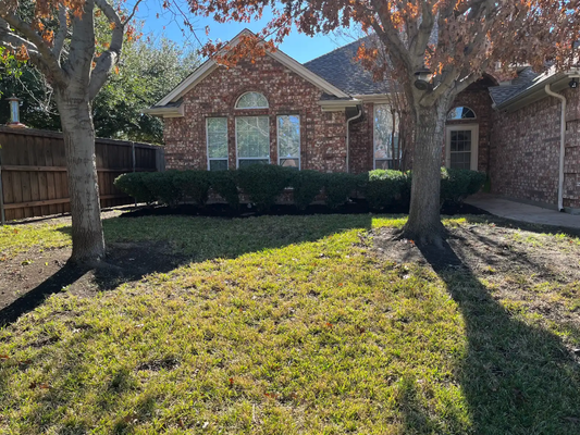 Spring Leaf Clean Up - Revive your lawn this fall and winter with MowJo's leaf cleanup service.
Our team will mulch or collect the fallen leaves for disposal depending on your personal preference.

At MowJo Lawn Care, our mission is to provide exceptional lawn maintenance characterized by professionalism, convenience, and high-quality workmanship. We are dedicated to enhancing the beauty and health of our clients' outdoor spaces while ensuring an effortless experience through reliable scheduling, ease of payment, and attentive customer service. Our commitment to excellence drives us to use top-tier equipment and mowers with frequently sharpened blades for a healthier and cleaner lawn. We empower customers to enjoy stunning lawns with minimal hassle. We strive to build lasting relationships within the communities we serve, grounded in trust and integrity.