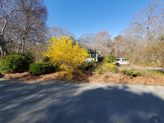 House Clearance - House Clearance and Tree Removal. House Clearance - House Clearance and Tree Removal.