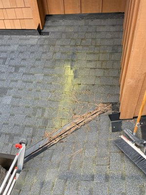 Roof Moss Removal - This Ugly Moss stood out like a sore thumb on this otherwise Gorgeous House located in the exclusive Suncadia Development outside Cle Elum WA. Our team of trained professionals safely and gently cleaned the roof so the roof was restored to its original beauty (and the great news is that it will continue to look better in the upcoming weeks as any remaining moss that had an extensive root system which wasn't washed away by our soft rinsing process will wither and blow away). Roof Moss Removal - This Ugly Moss stood out like a sore thumb on this otherwise Gorgeous House located in the exclusive Suncadia Development outside Cle Elum WA. Our team of trained professionals safely and gently cleaned the roof so the roof was restored to its original beauty (and the great news is that it will continue to look better in the upcoming weeks as any remaining moss that had an extensive root system which wasn't washed away by our soft rinsing process will wither and blow away).