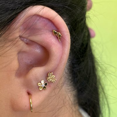 Ear Curation - Let us help you pick out your newest body accessory! We would love to curate your ear for you, or just help you pick out something that fits your vibe. Come check out our selection of fine body jewerly at the studio today! Ear Curation - Let us help you pick out your newest body accessory! We would love to curate your ear for you, or just help you pick out something that fits your vibe. Come check out our selection of fine body jewerly at the studio today!