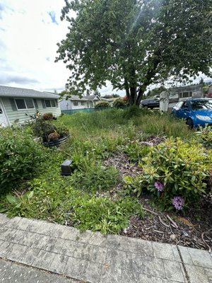 Weed/yard waste removal & preparation for a yard remodeling project. - This yard is in the process of being fully remodeled by yours truly. I will be including more after photos, but these are some photos of the first step of the process! Weed/yard waste removal & preparation for a yard remodeling project. - This yard is in the process of being fully remodeled by yours truly. I will be including more after photos, but these are some photos of the first step of the process!