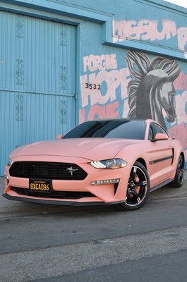 Ford Mustang C/S fully wrapped in Matte piggy pink - This California Special Mustang 5.0 came in for a full colorchange vehicle wrap done in Tinybots new matte piggy pink. Ford Mustang C/S fully wrapped in Matte piggy pink - This California Special Mustang 5.0 came in for a full colorchange vehicle wrap done in Tinybots new matte piggy pink.