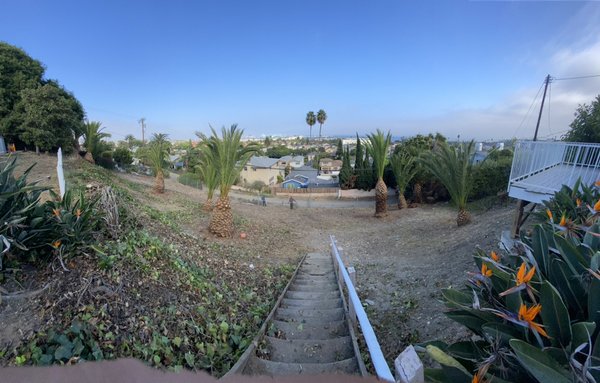 San Pedro slope cleanup - This was a major cleanup in San Pedro that needed weedwacking , palm trimming , ivy removal , hedging . San Pedro slope cleanup - This was a major cleanup in San Pedro that needed weedwacking , palm trimming , ivy removal , hedging .