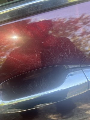 Removing scratches on a 2015 Honda Accord - The customer had contacted me wanting me to correct the paint, remove scratches and polish the paint. Removing scratches on a 2015 Honda Accord - The customer had contacted me wanting me to correct the paint, remove scratches and polish the paint.