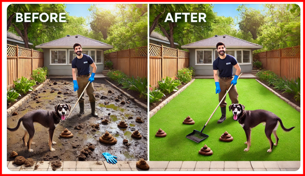 First Time Deep Cleanup For New Client - This was a first-time deep clean for a new client in Orange County who hadn’t had their yard cleaned in several months. We removed over 20+ piles, sanitized key play areas, and left the space spotless and fresh. The client signed up for weekly service on the spot! Great for families, dog lovers, or anyone who’s fallen behind.
One-Time Clean, First Visit, Heavy-Duty Cleanup, Sanitation, Family Friendly, OC Pet Waste Service First Time Deep Cleanup For New Client - This was a first-time deep clean for a new client in Orange County who hadn’t had their yard cleaned in several months. We removed over 20+ piles, sanitized key play areas, and left the space spotless and fresh. The client signed up for weekly service on the spot! Great for families, dog lovers, or anyone who’s fallen behind.
One-Time Clean, First Visit, Heavy-Duty Cleanup, Sanitation, Family Friendly, OC Pet Waste Service