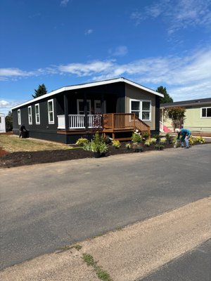 Lawn Transformation - This lawn transformation included Clean up of weeds, branches, and debris. Some of the plants added were fire nandinas, Oregon grape ( a native Oregon plant ), hydrangea snowball, and a Japanese maple tree, Strawberry ground cover was added as well to help suppress weeds and provide moisture to the lawn. Lawn Transformation - This lawn transformation included Clean up of weeds, branches, and debris. Some of the plants added were fire nandinas, Oregon grape ( a native Oregon plant ), hydrangea snowball, and a Japanese maple tree, Strawberry ground cover was added as well to help suppress weeds and provide moisture to the lawn.