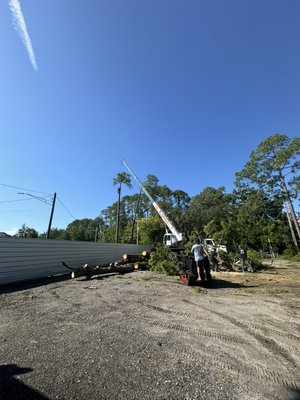 Crane To Remove Multiple Pine Trees - We were called out to remove about 7 trees in total in very tight areas near roads and fences. We used a crane to ensure safety of the surrounding. All debris was cleaned up and Hauled away off property.