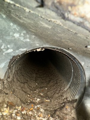 Air Duct Cleaning of an old House - We provided comprehensive air duct cleaning services for a residential property that had not been serviced in over a decade. Our team conducted a thorough inspection of the ductwork, identifying significant dust and debris buildup that was affecting indoor air quality. We utilized advanced cleaning equipment, including high-powered vacuums and specialized brushes, to remove contaminants effectively. After the cleaning, we performed a follow-up assessment to ensure optimal airflow and advised the homeowner on routine maintenance practices to keep the ducts clean. The result was a noticeable improvement in air quality and a more efficient HVAC system, leading to lower energy bills and a healthier living environment. Air Duct Cleaning of an old House - We provided comprehensive air duct cleaning services for a residential property that had not been serviced in over a decade. Our team conducted a thorough inspection of the ductwork, identifying significant dust and debris buildup that was affecting indoor air quality. We utilized advanced cleaning equipment, including high-powered vacuums and specialized brushes, to remove contaminants effectively. After the cleaning, we performed a follow-up assessment to ensure optimal airflow and advised the homeowner on routine maintenance practices to keep the ducts clean. The result was a noticeable improvement in air quality and a more efficient HVAC system, leading to lower energy bills and a healthier living environment.
