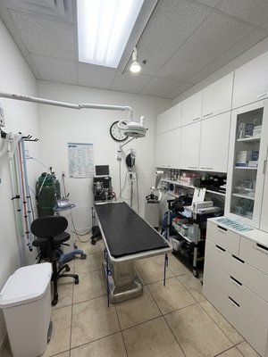 Advanced Veterinary Surgery & Recovery - Surgical excellence and patient safety are the cornerstones of our family-owned clinic. Led by an experienced veterinary surgeon, we provide comprehensive surgical care ranging from routine procedures to complex soft tissue operations. Our state-of-the-art surgical suite in Boca Raton utilizes advanced anesthetic protocols, strict sterile techniques, and continuous vital monitoring. Post-operation, our dedicated technicians provide compassionate, hands-on recovery care to ensure your pet wakes up comfortably and safely.