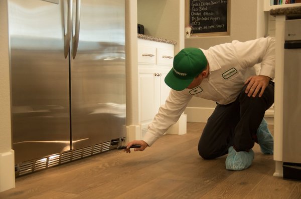 Ant & Spider Control - Year round service plan is a great way to keep your home and family healthy. Solve & prevent pest problems with regular inspection and service. Ant & Spider Control - Year round service plan is a great way to keep your home and family healthy. Solve & prevent pest problems with regular inspection and service.