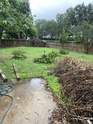 Tree trimming, stump removal, haul away trash, clean out debris - Customer called after a storm in Houston. Branches had broken off trees and were hanging too close to sidewalk. Trimmed and cleaned out backyard trees. Also hauled away trash that customer had and did not know where to get rid of.