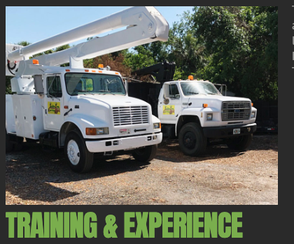 Who We Are - Jenkins Tree is owner – operated.
Chris Jenkins is involved in every aspect of the operation and on-site with every job. Chris’s philosophy is that your yard is his yard. Our crew is polite and loves their work.